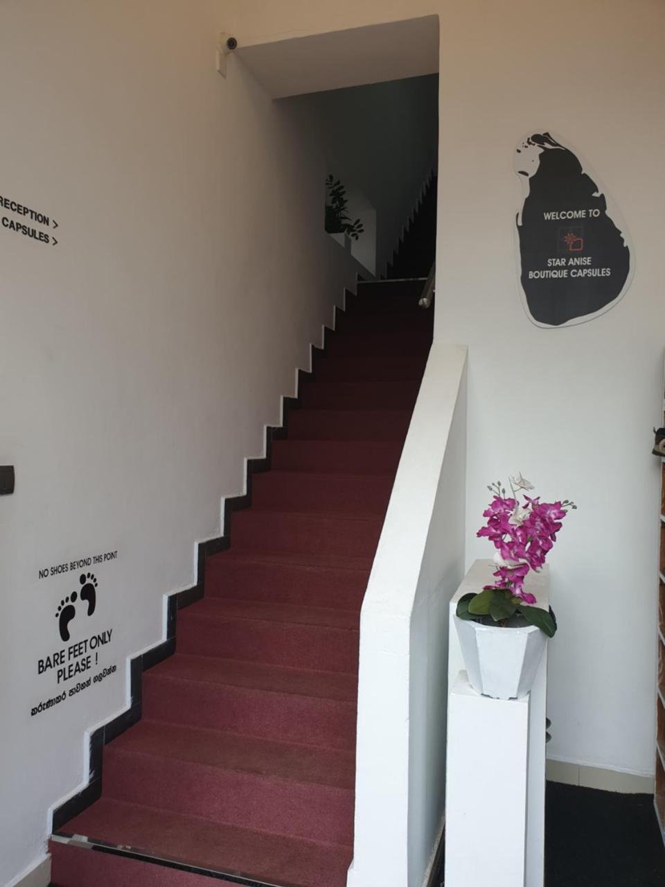 Star Anise Boutique Capsules Hotell Colombo Eksteriør bilde